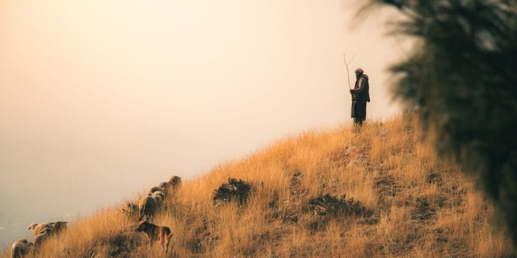 quiet evening city street with empty lights