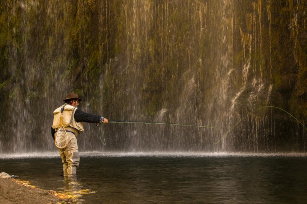 purusharth and alignment