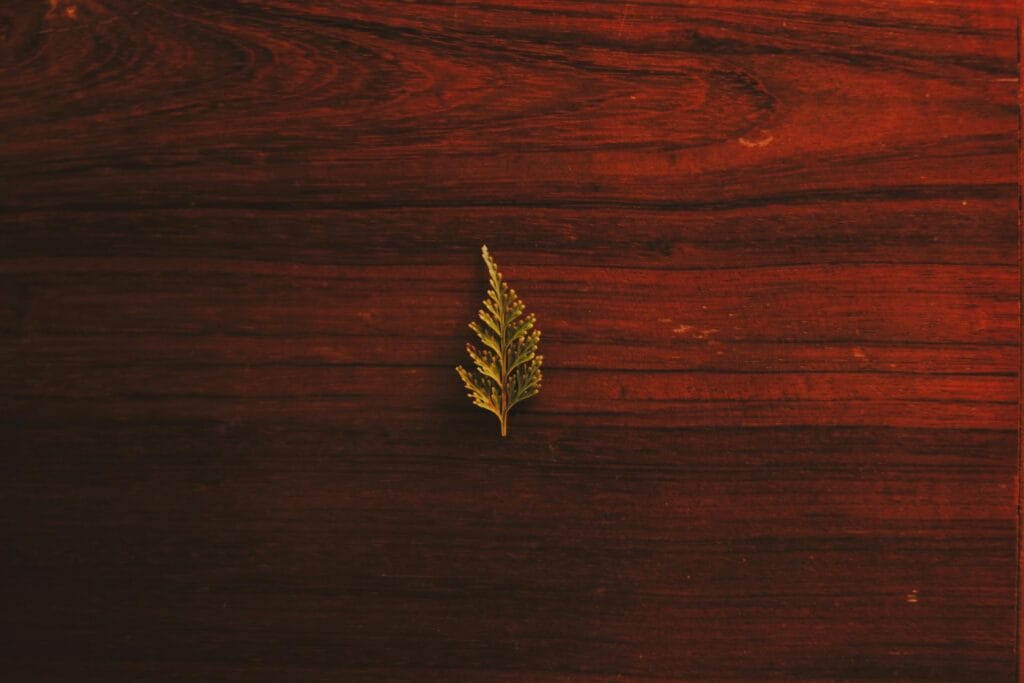 alignment over adaptability