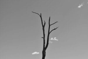 The quiet resentment toward successful friends