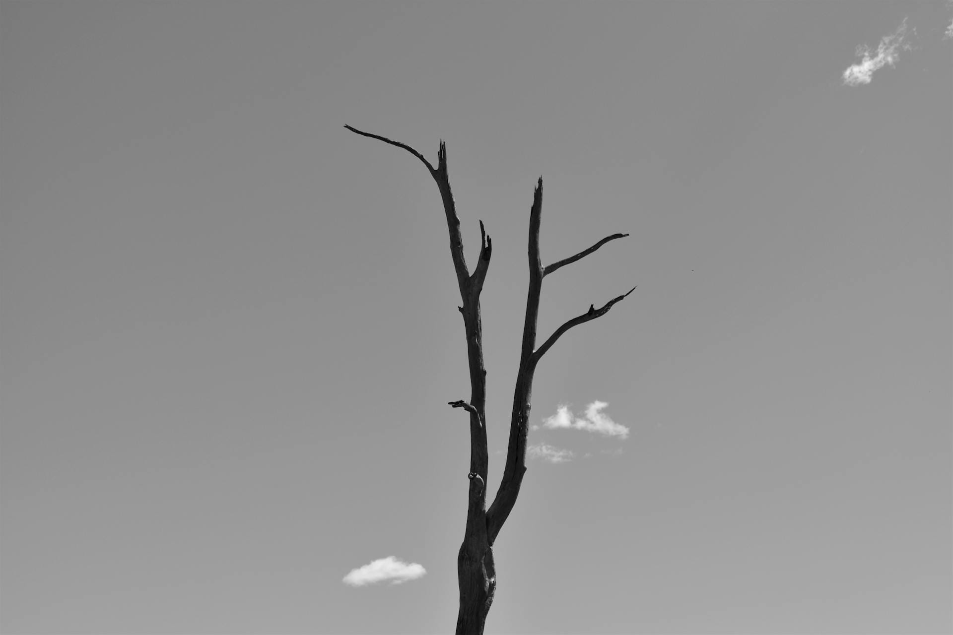 jealousy toward successful friends