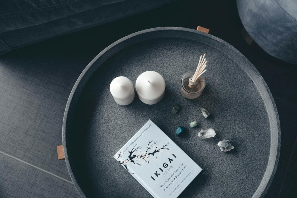 ikigai book asthetic image 