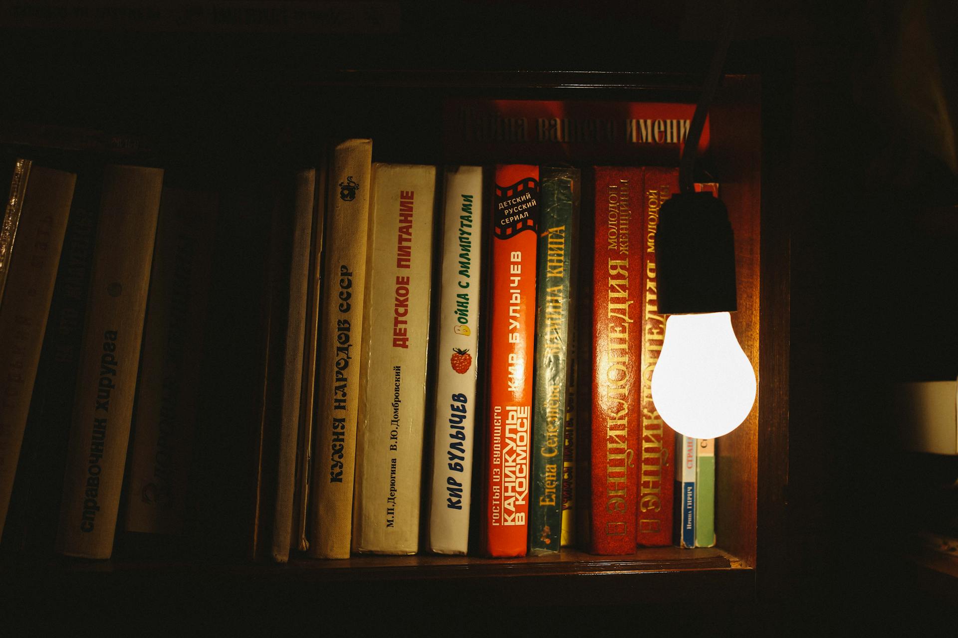 Books on a wooden shelf lit by a warm bulb