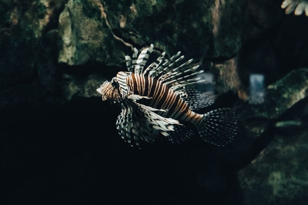 earliest human writing