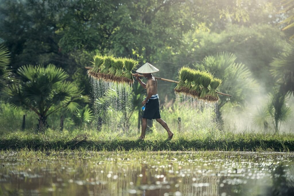 Costa Rica happiness index