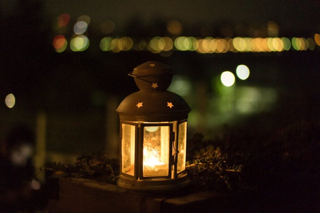 fireflies going extinct