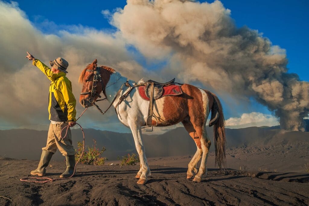 moral fatigue news cycle