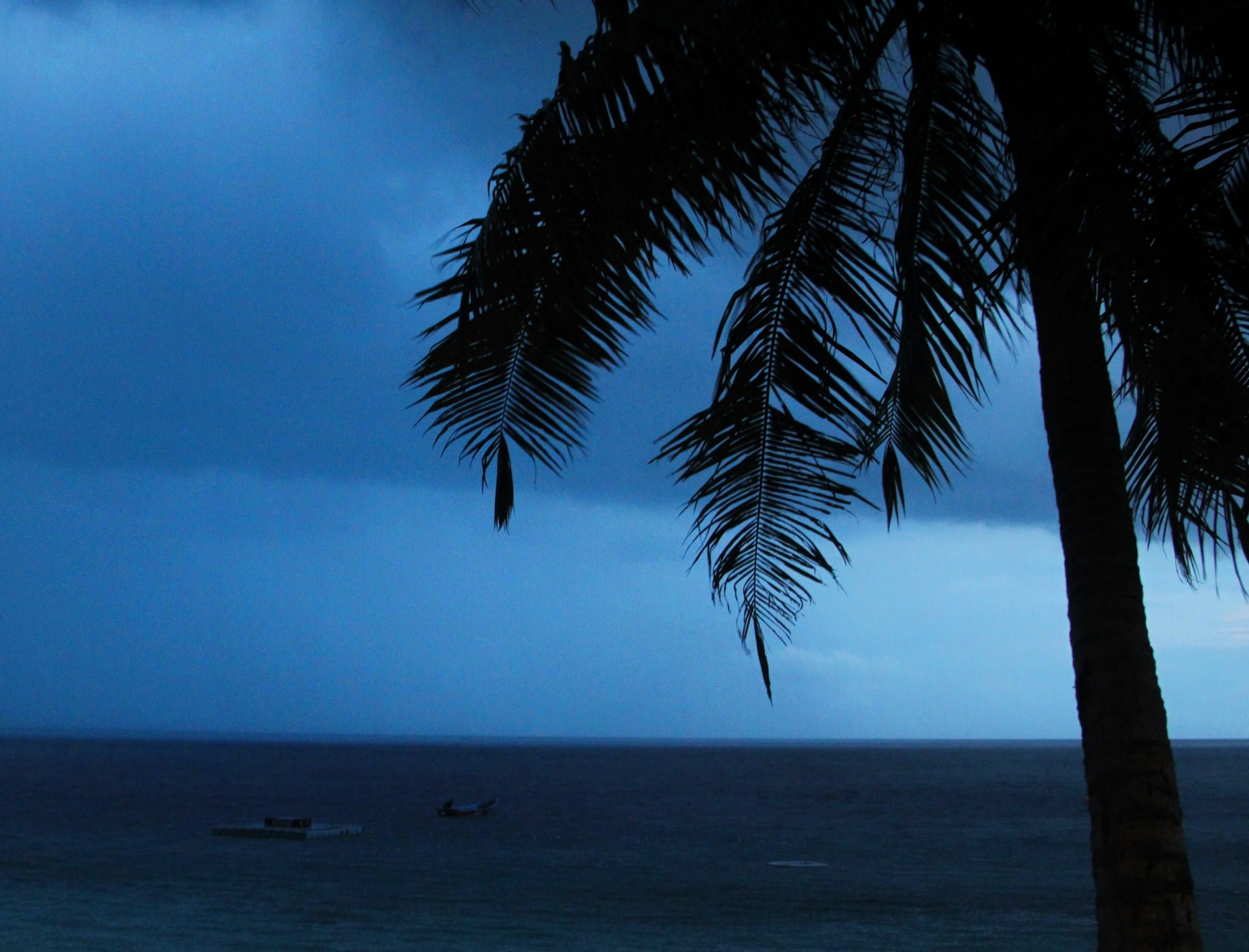 Blue hour, ocean and trees — the mood of still standing
