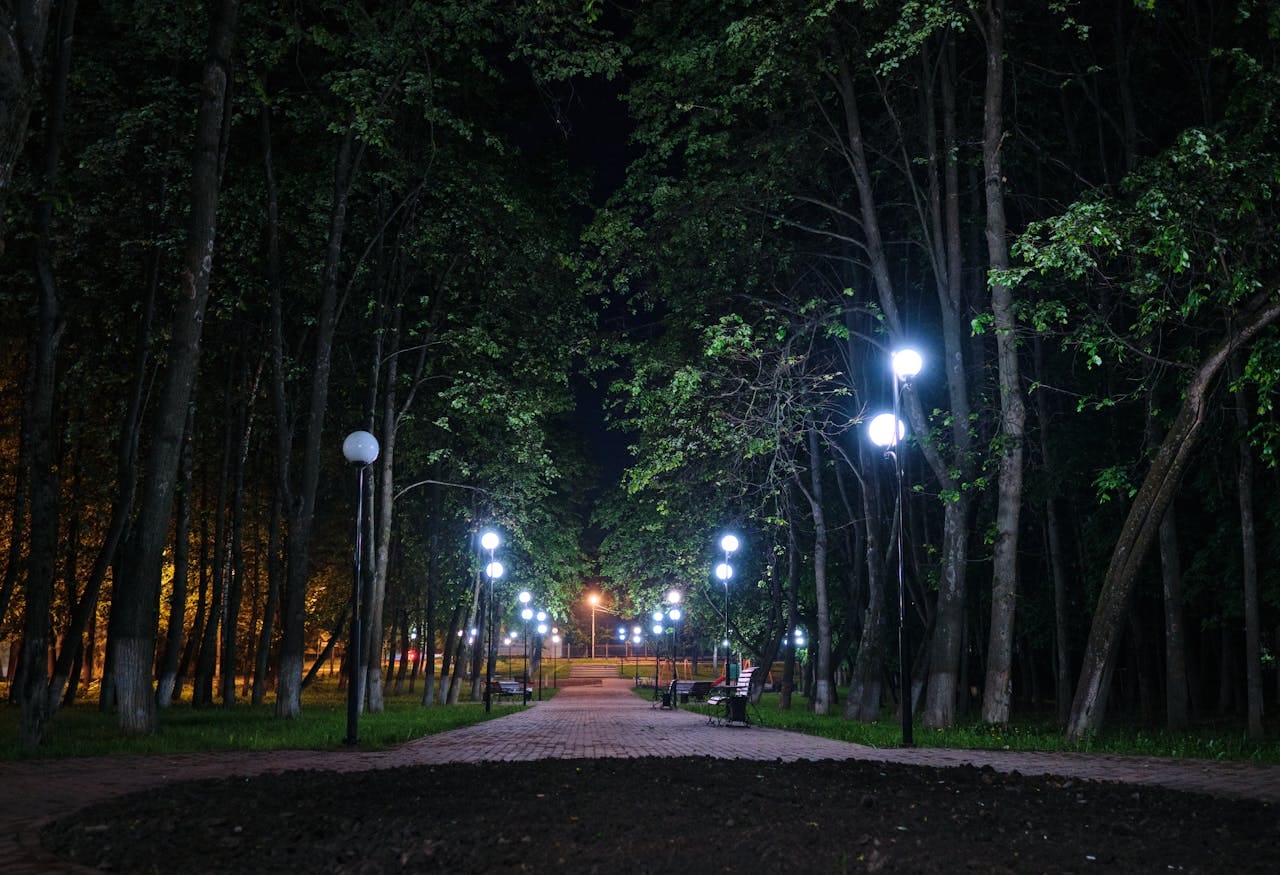 Evening walks in Victoria Park: What the light took with it